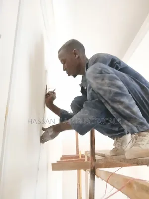 Professional Electrician