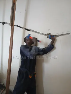 Professional Electrician