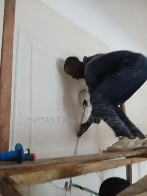 Professional Electrician
