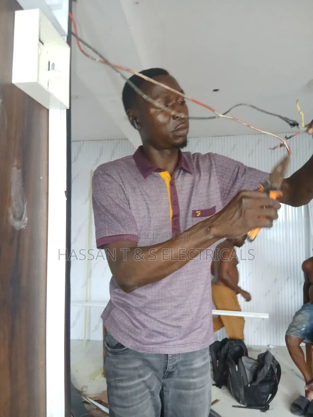 Professional Electrician