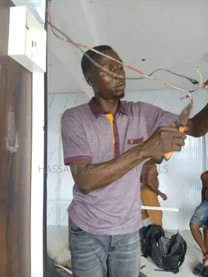 Professional Electrician