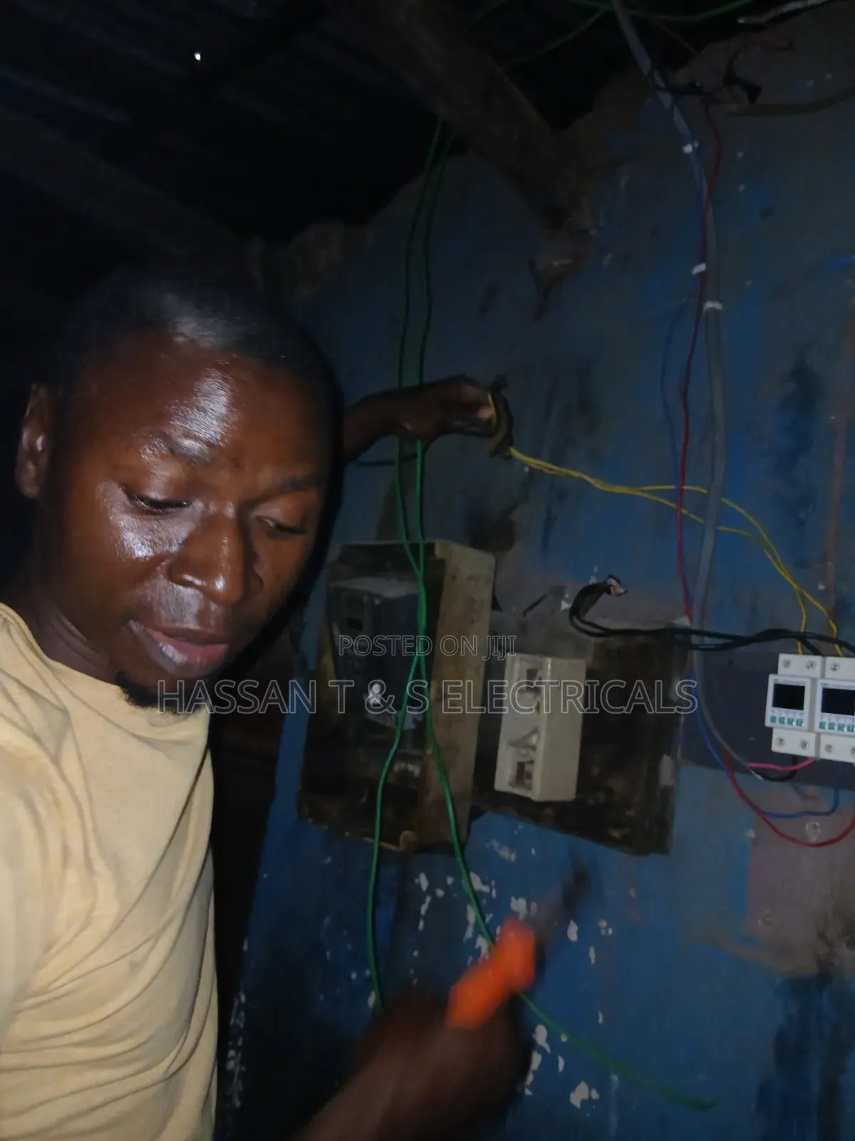Professional Electrician