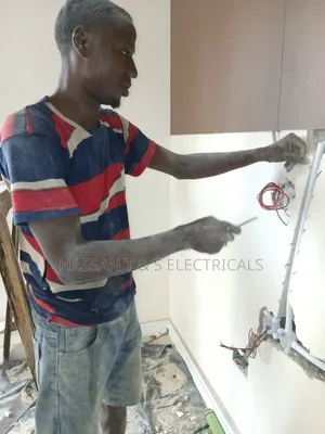 Professional Electrician