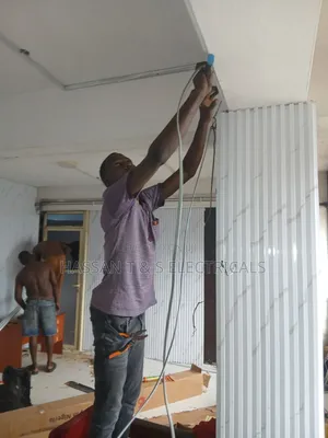 Professional Electrician