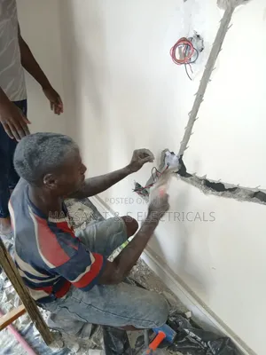 Professional Electrician