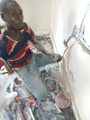 Professional Electrician
