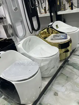 Stylish White Water Closet System