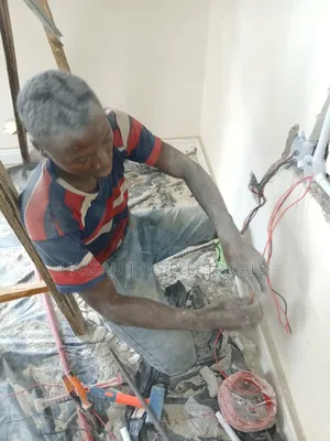 Professional Electrician