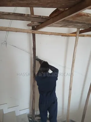 Professional Electrician