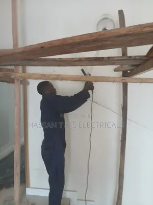 Professional Electrician