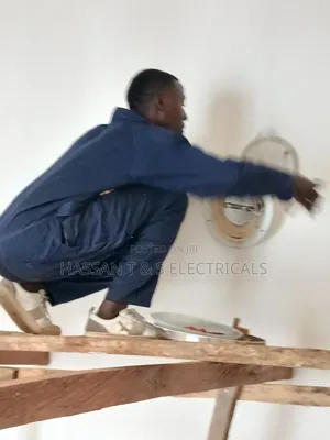 Professional Electrician