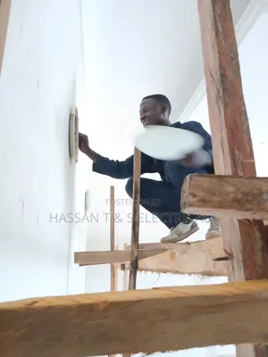 Professional Electrician