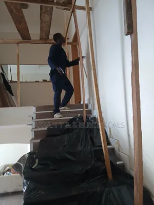 Professional Electrician