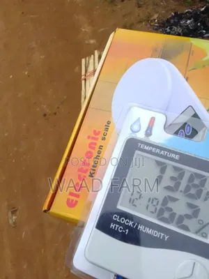 Mini Scale