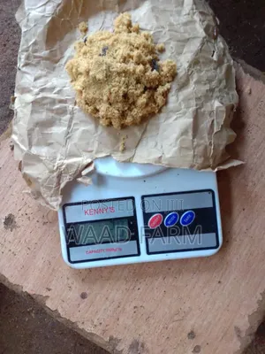 Mini Scale