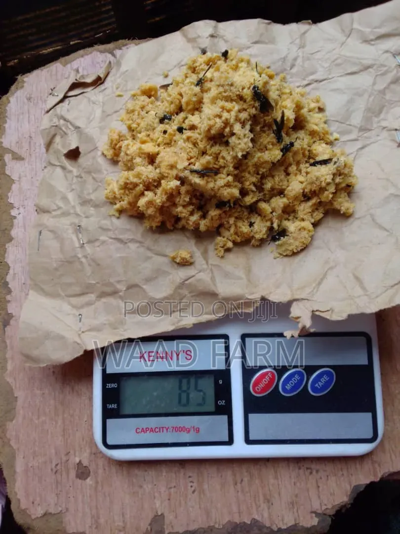 Mini Scale