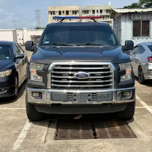 Ford F-150 XLT 4dr SuperCab 4WD 6.5 ft. SB (3.5L 6cyl 6A) 2015 Gray