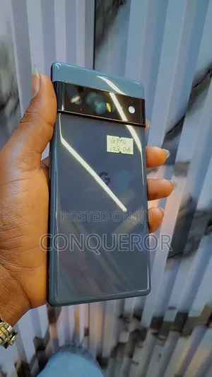 Google Pixel 6 Pro 128 GB Gray