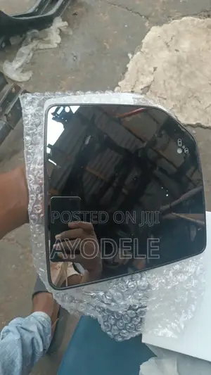 F150 Mirror 2016