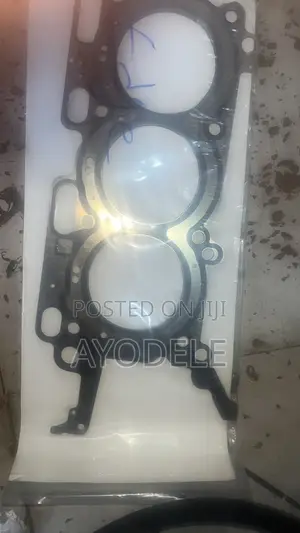 Gasket Iron Edge 2009