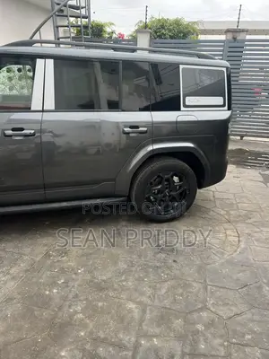 New BYD Leopard 7 2025 Gray