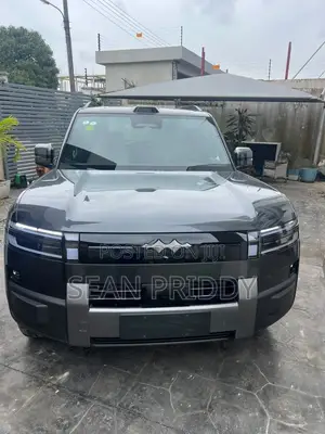 New BYD Leopard 7 2025 Gray