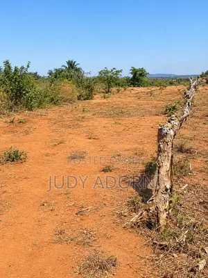 Distress 5.19 Hectares for Sale at Maitama II