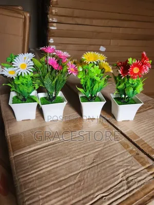 Small Cup Flower