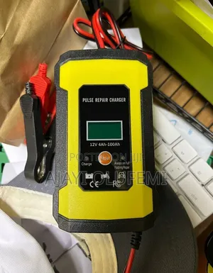 Automatic Intelligent Car Battery Charger