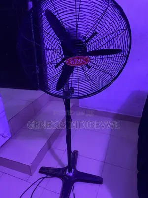 Standing Fan