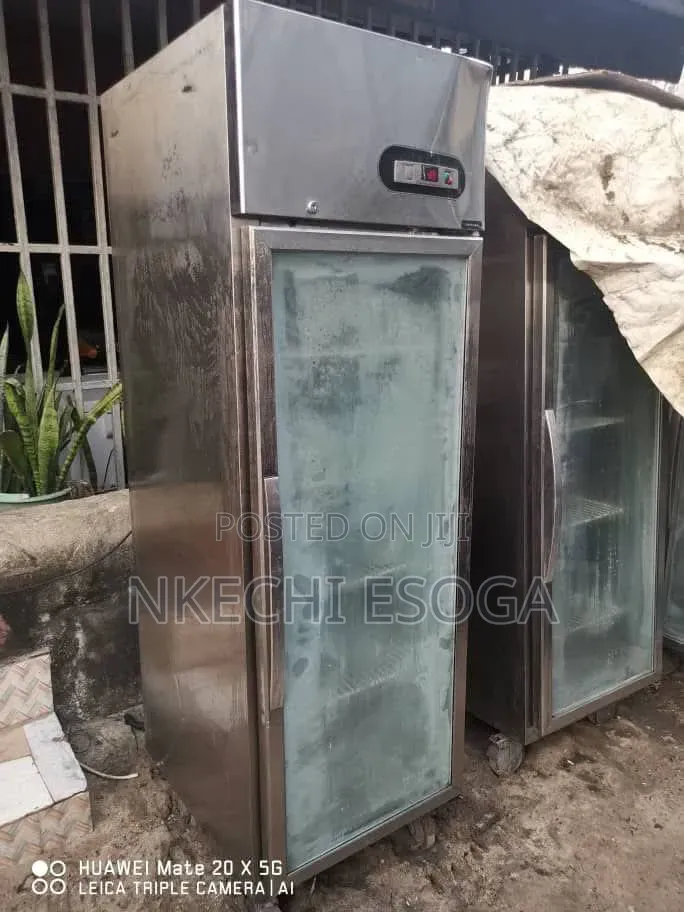 Standing Industrial Freezer