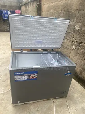 Skyrun Bd-300hnw 300l Storage Freezer