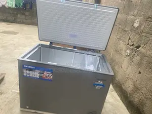 SKYRUN 300L Deep Storage Chest Freezer