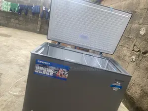 SKYRUN BD-300HNW 300L Household Deep Freezer