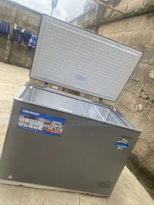 SKYRUN 300L Frozen Food Freezer