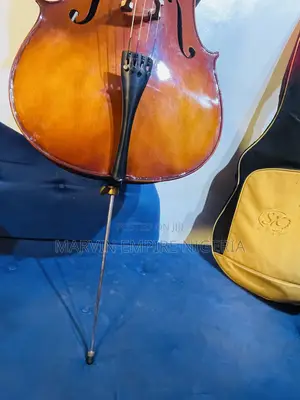 Rent a Professional 4/4 Cello_ Big Size