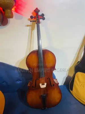 Rent a Professional 4/4 Cello_ Big Size