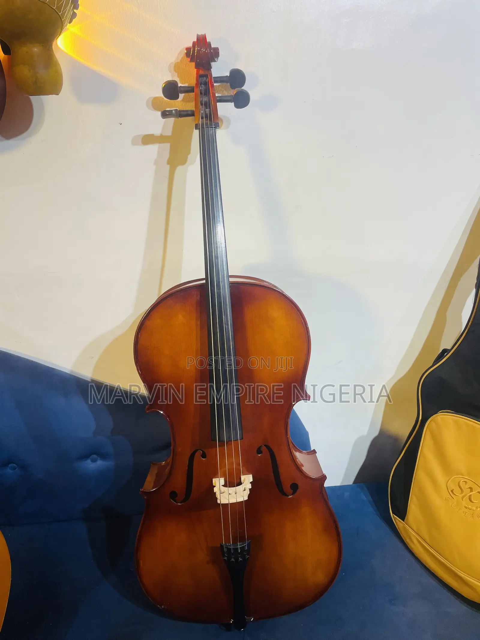 Rent a Professional 4/4 Cello_ Big Size