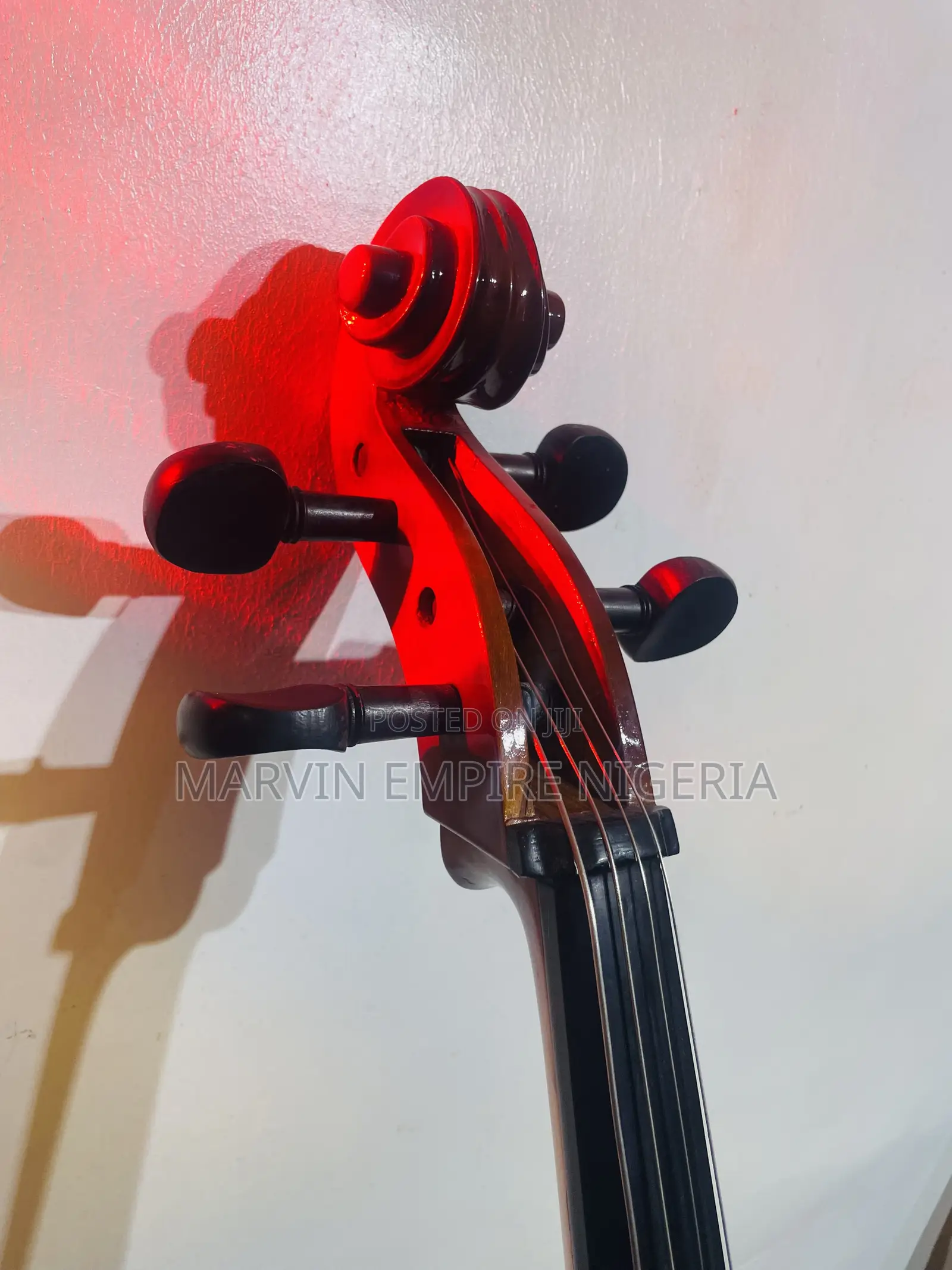 Rent a Professional 4/4 Cello_ Big Size