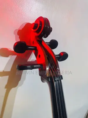Rent a Professional 4/4 Cello_ Big Size