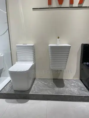 Goodwill Modern Water Closet