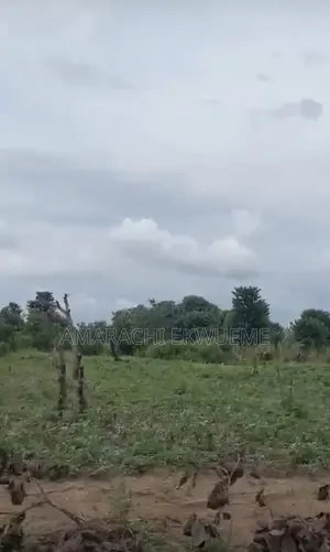 Real Estate