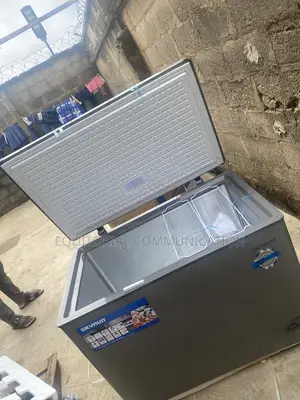 SKYRUN 300L Food Storage Chest Freezer