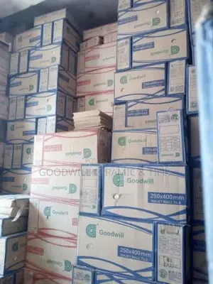 Goodwill Quality Modern Tiles for Bulk Purchase