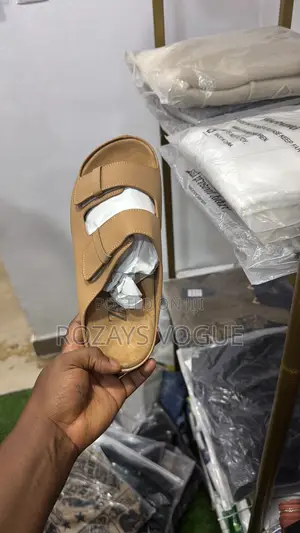 Zara Palm (Slide)