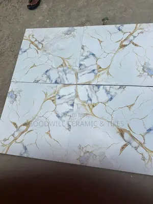Phylon Face Porcelain 60x60cm Floor