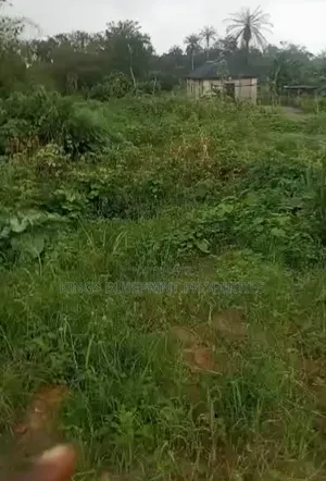 Affordable 100 by 100 for Sale at Oha Near Orerokpe Delta State