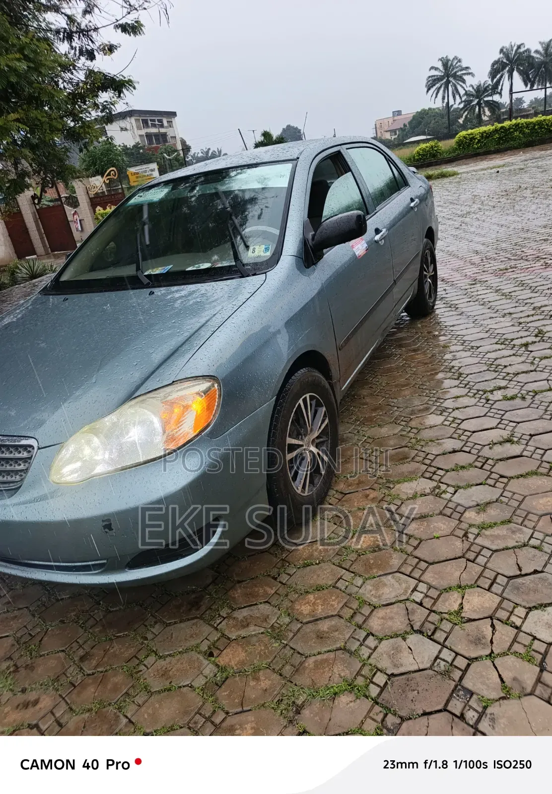 Toyota Corolla 2006 Green