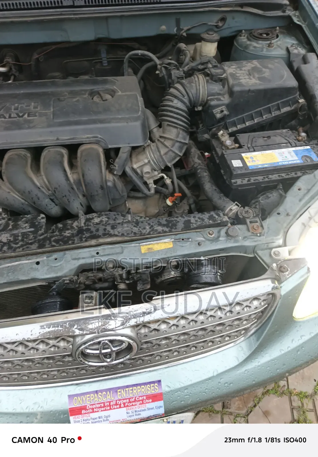 Toyota Corolla 2006 Green
