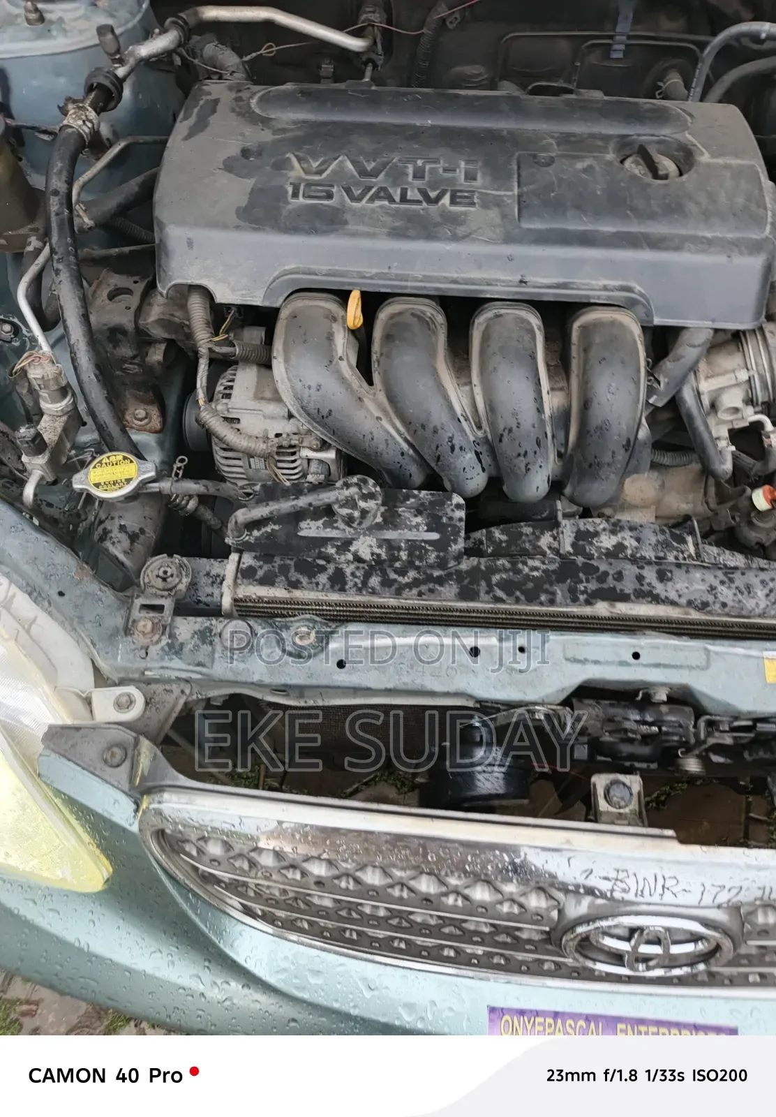 Toyota Corolla 2006 Green